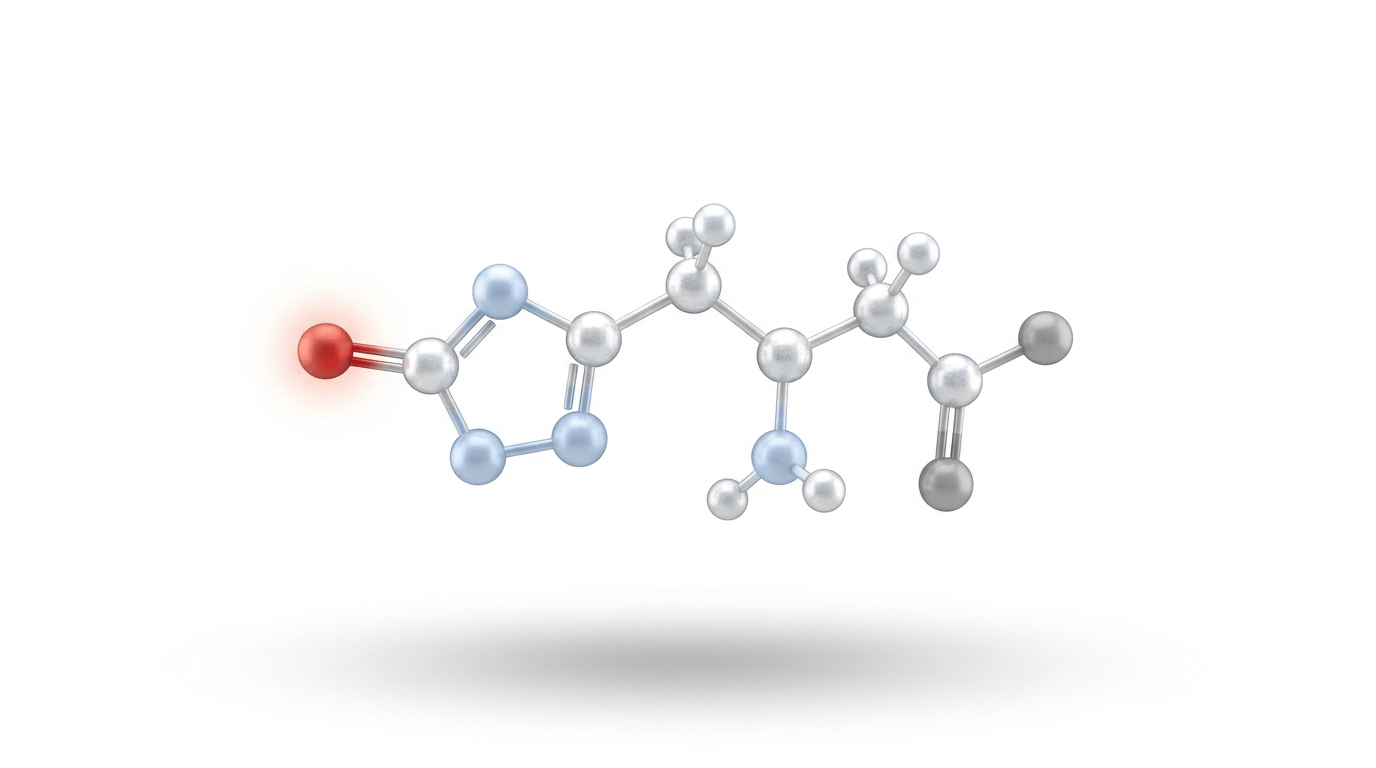 What Is L-Ergothioneine — and Why Does Your Body Have a Dedicated Transporter for It?